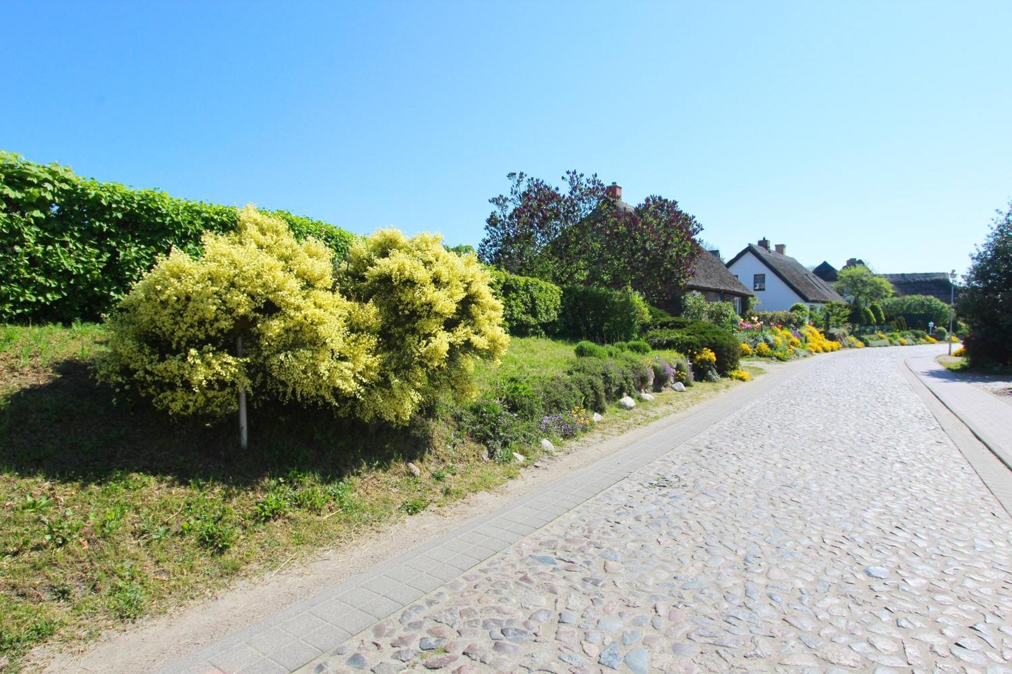Appartementhaus Inselwind FeWo 13 MEERstrand Meerblick, Gartennutzung Groß Zicker Exterior foto